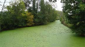 rêver d'eau verte en islam