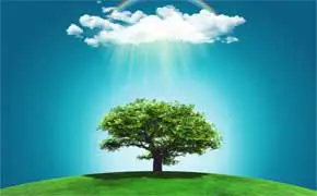 rêver d'un arbre interprétation islam Ibn Sirin